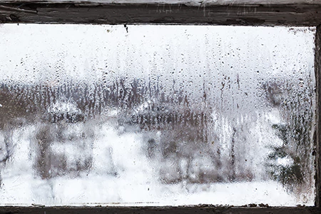 Defogging Double Pane Windows in Fruit Cove, FL