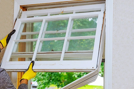Window Replacement in Fruit Cove, FL